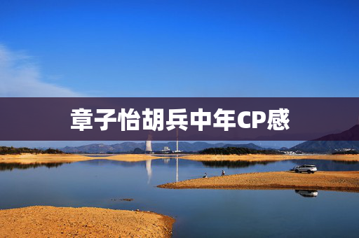 章子怡胡兵中年CP感