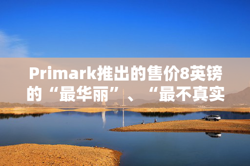 Primark推出的售价8英镑的“最华丽”、“最不真实”手袋是购物者们迫切想买的