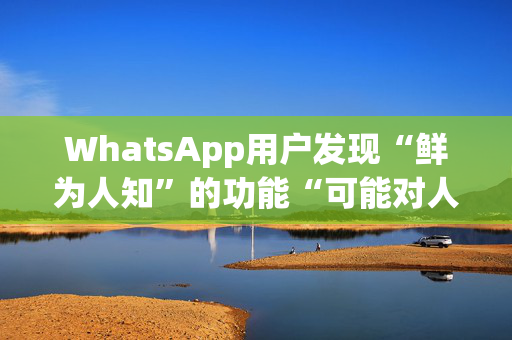 WhatsApp用户发现“鲜为人知”的功能“可能对人际关系不利”